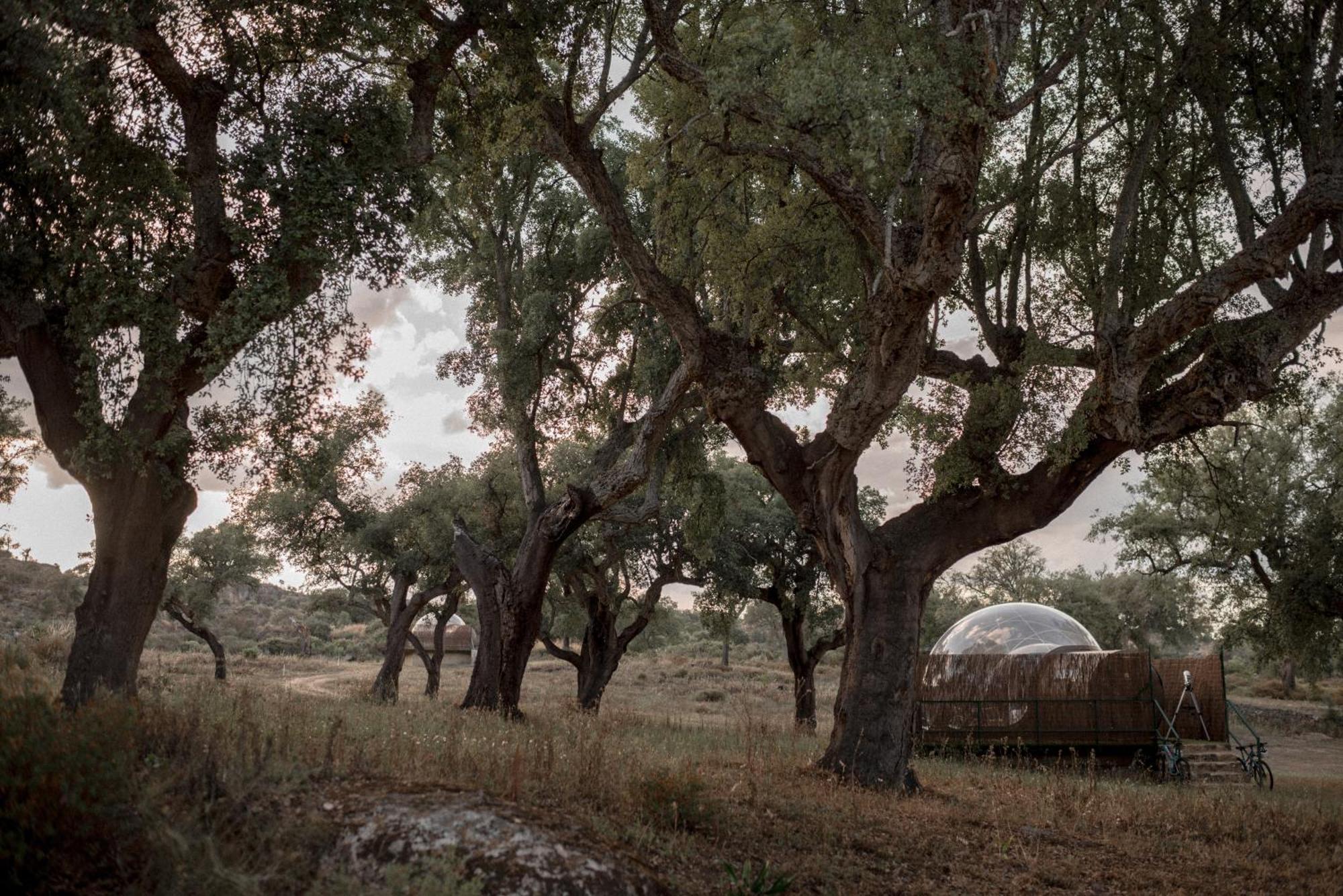 Finca El Cortinal Valencia de Alcántara Exteriér fotografie