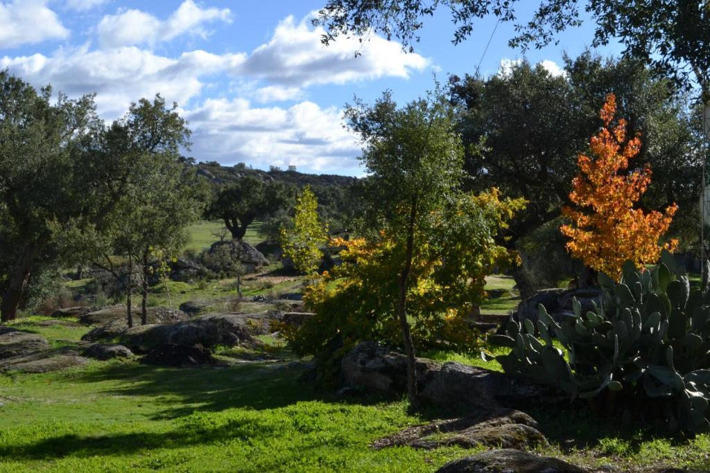 Finca El Cortinal Valencia de Alcántara Pokoj fotografie
